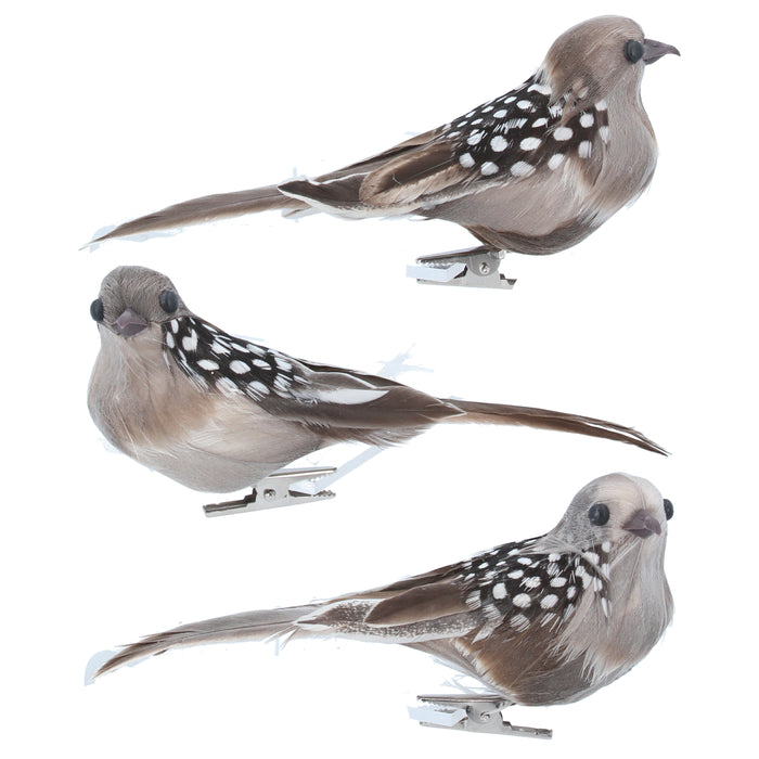 Natural Feather Bird Clip