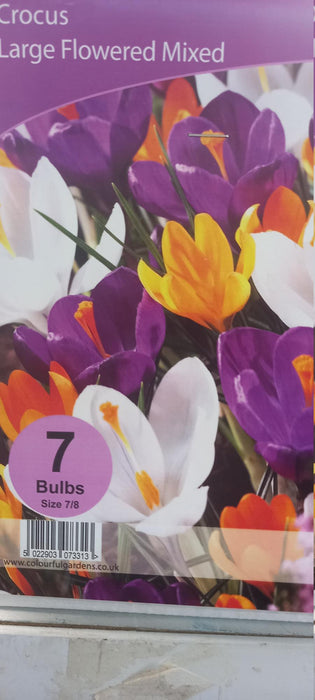 Crocus Mixed