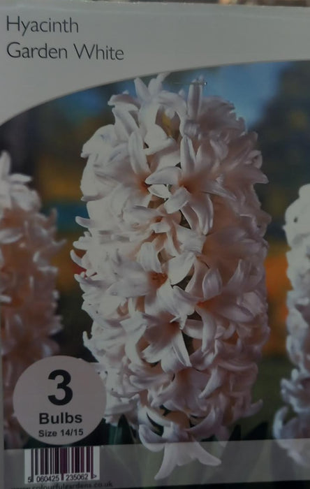 Hyacinth Garden White