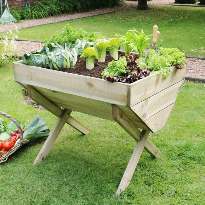 Veg Bed 1M