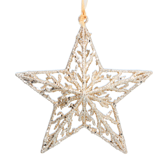 Pale Gold Glitter Twig/Acrylic 3-D Star D