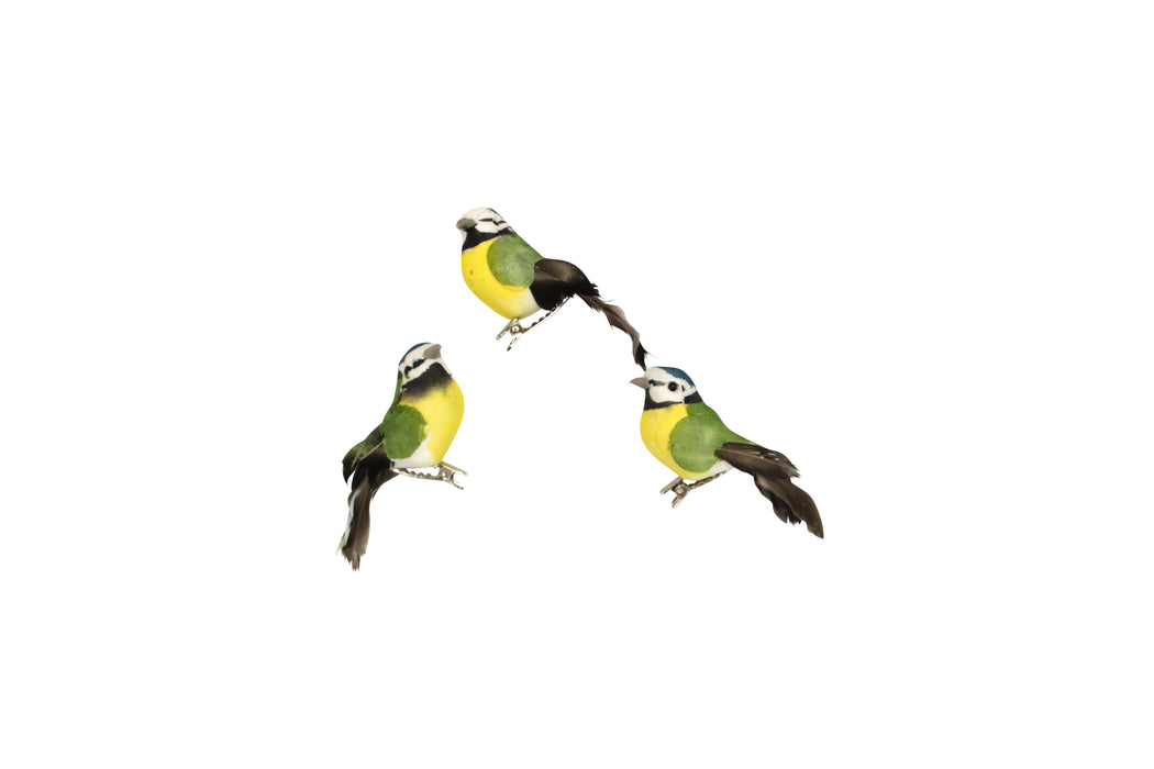 P/M Blue Tit On Clip Dec, 3as - 4cm