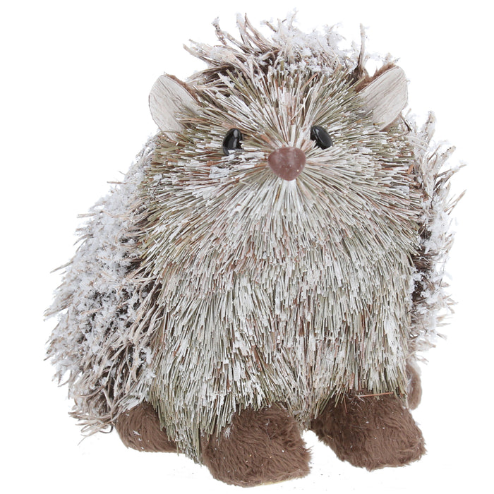 Snowy Bristle Hedgehog Orn, Lge
