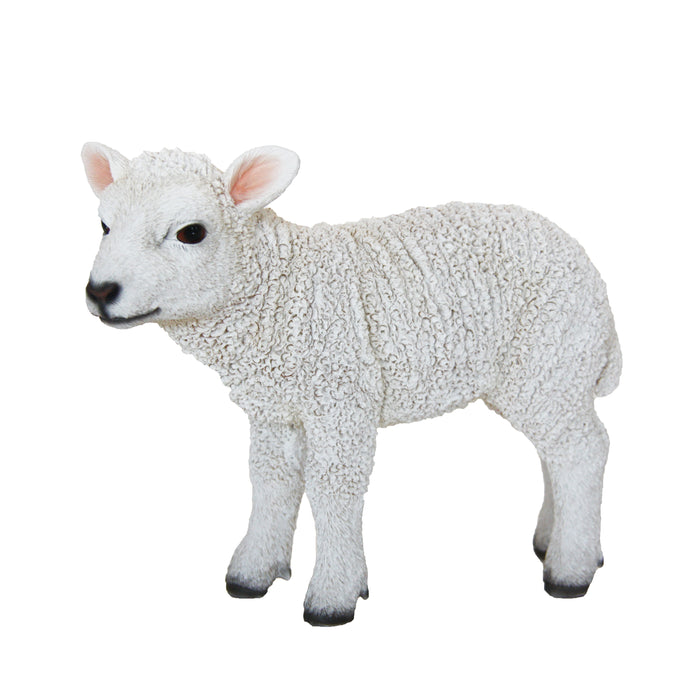 37000032 - LAMB STANDING (S)