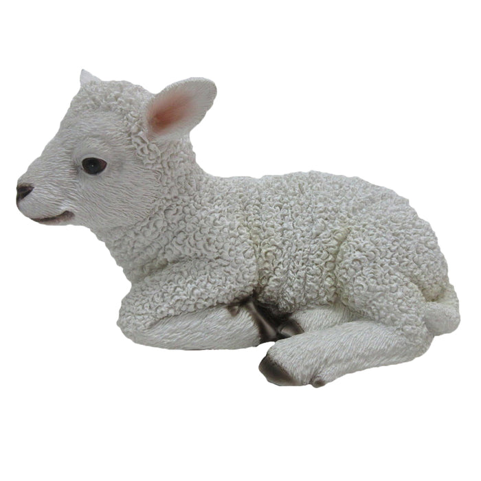 37000182 - LAMB LYING