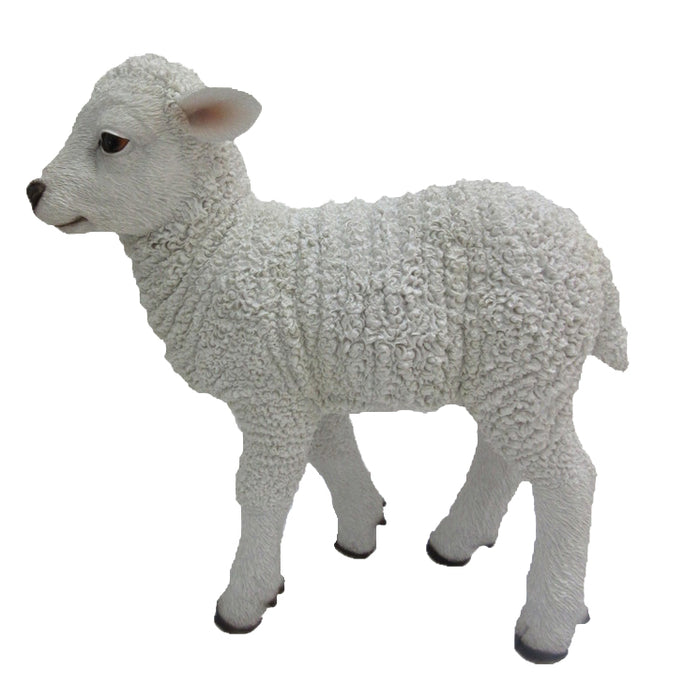 37000185 - LAMB STANDING (M)