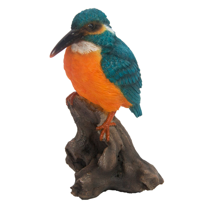 37000189 - KINGFISHER