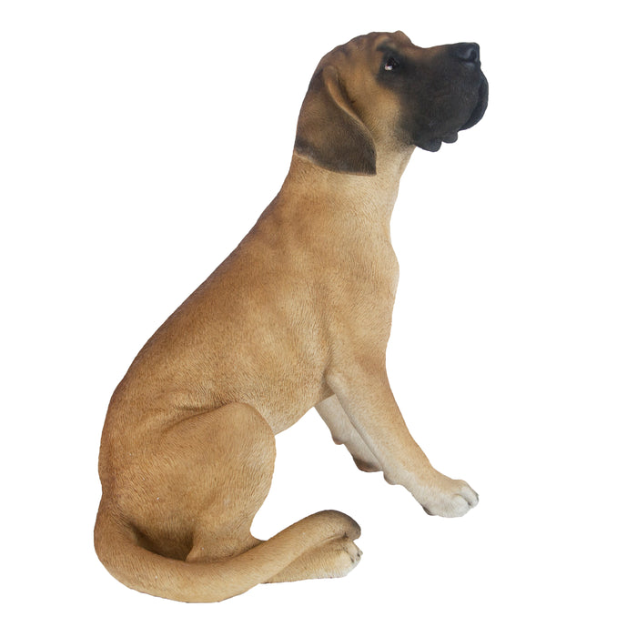 37000220 - GREAT DANE SITTING