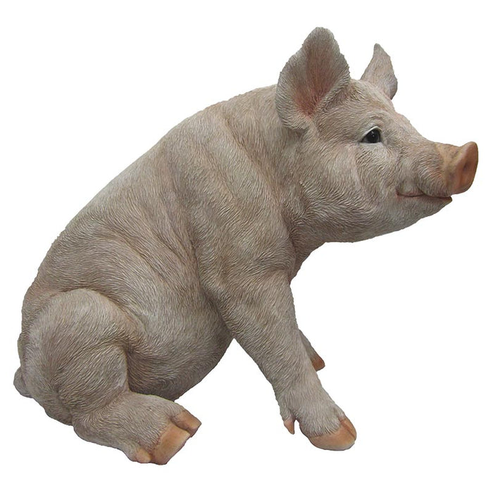 37000255 - PIG SITTING