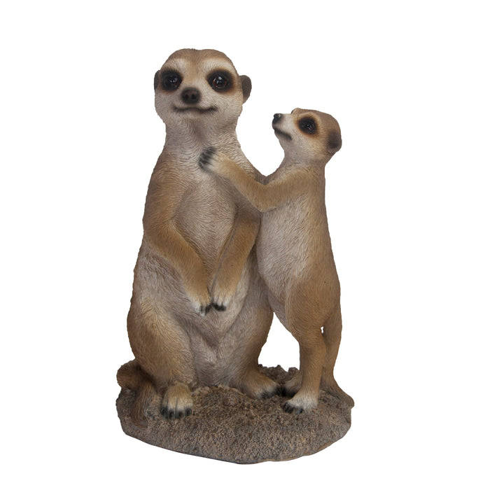 37000274 - MEERKATS
