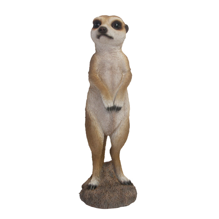 37000276 - MEERKAT 1