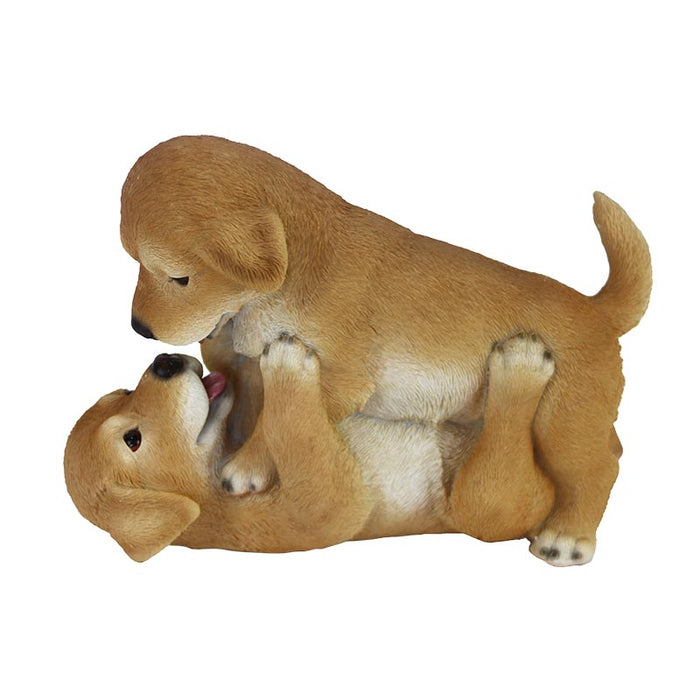 37000440 - PUPPIES PLAYING
