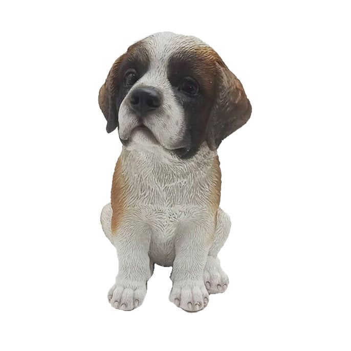 37000447 - ST BERNARD PUP SITTING