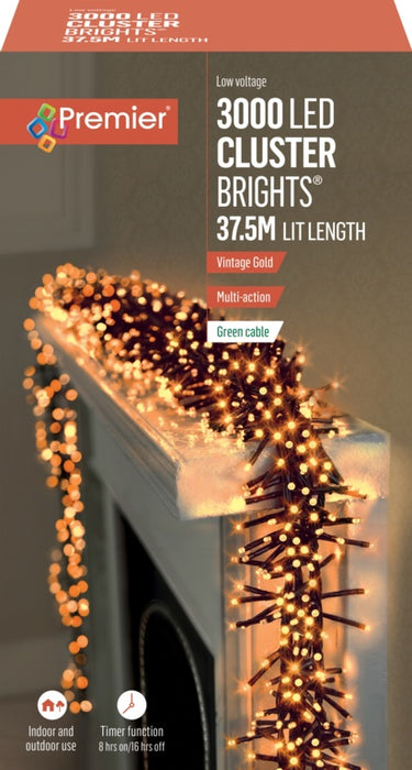 3000 LED Multi Action Cluster Lights With Timer