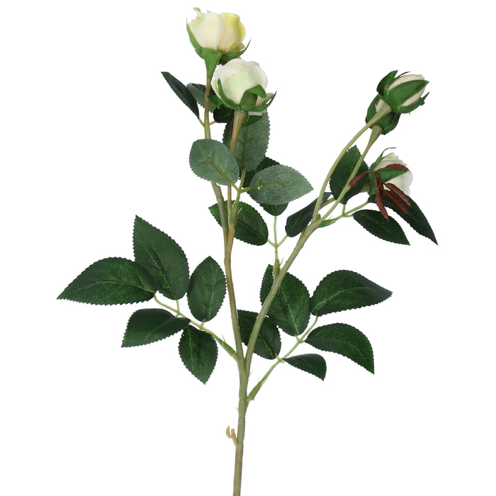 Cream Rosebud Mini Spray