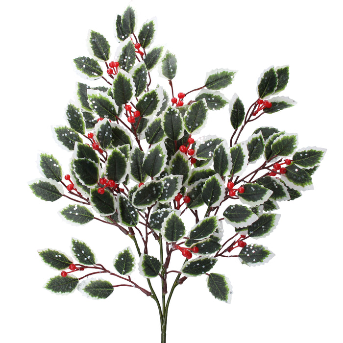 Varigated Holly Spray