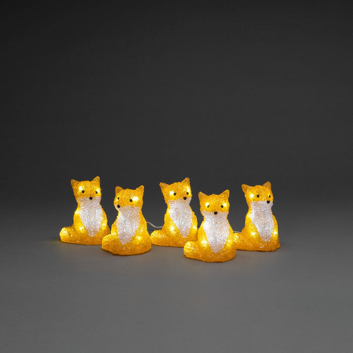 Acrylic Foxes 5 Piece Set LED