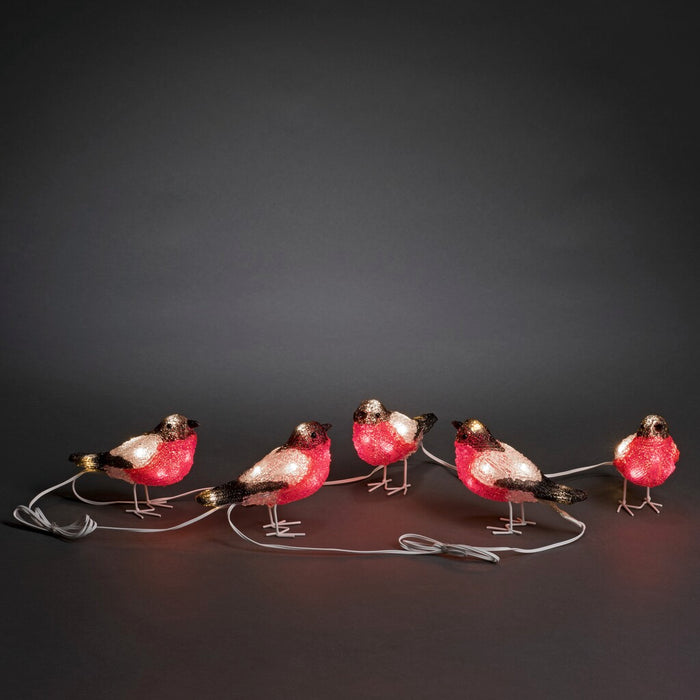 Acrylic Bullfinch 5 Pc Set LED