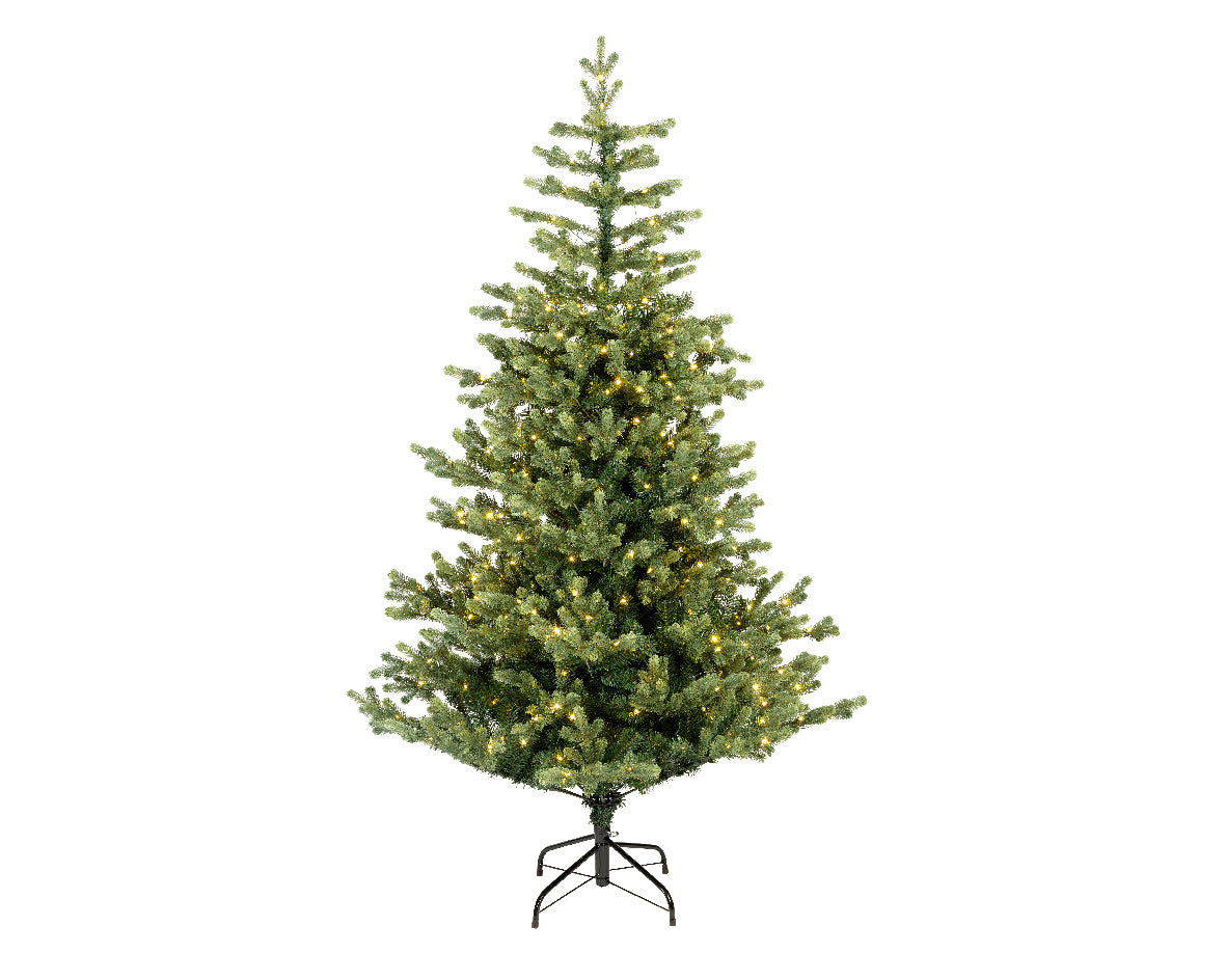 Geneva fir gb Micro LED indoor 210cm — Willowbrook Garden Centre