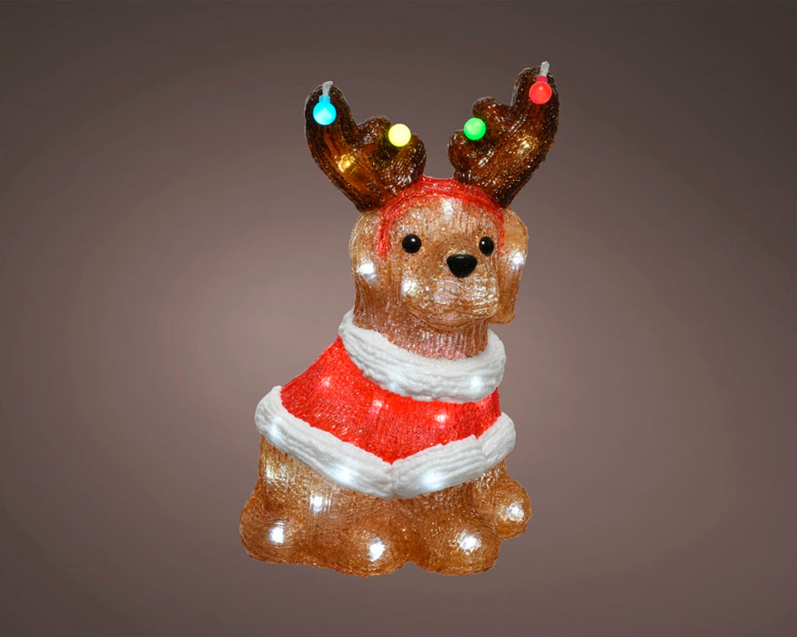 LED Dog