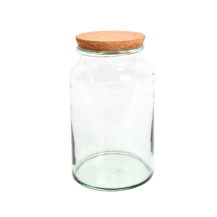 AGG69 - HALF OPEN TERRARIUM BOTTLE MEDIUM