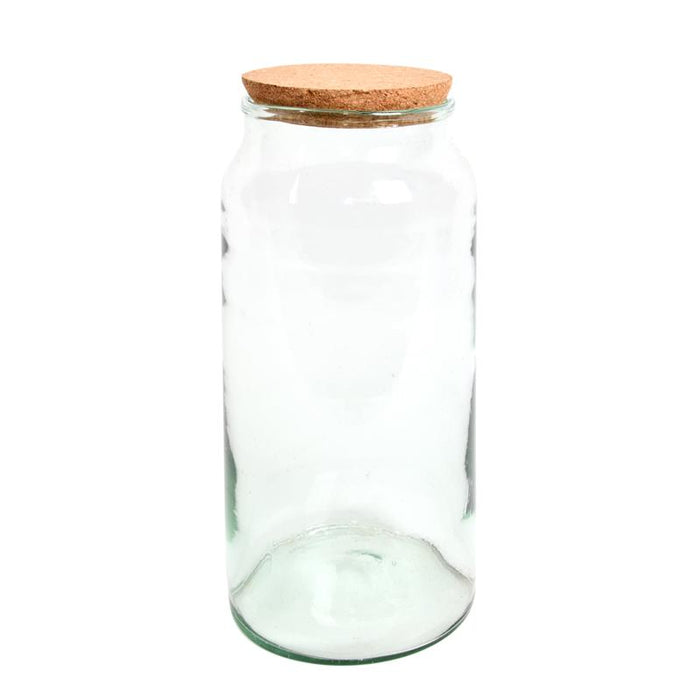 AGG70 - HALF OPEN TERRARIUM BOTTLE LARGE