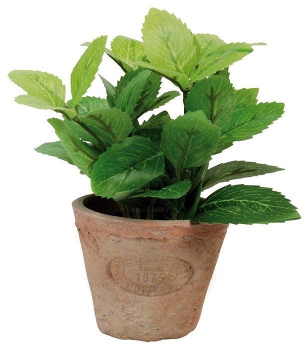 AH003 - ARTIFICIAL MINT IN AGED TERRACOTT