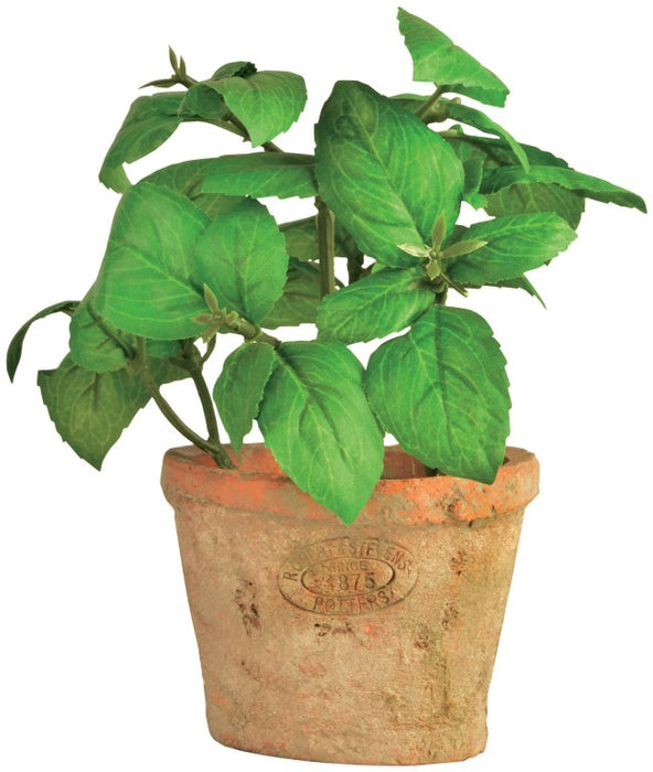 AH007 - ARTIFICIAL BASIL IN AGED TERRACOT