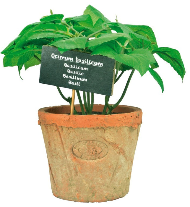 AH008 - ARTIFICIAL BASIL IN AGED TERRACOT