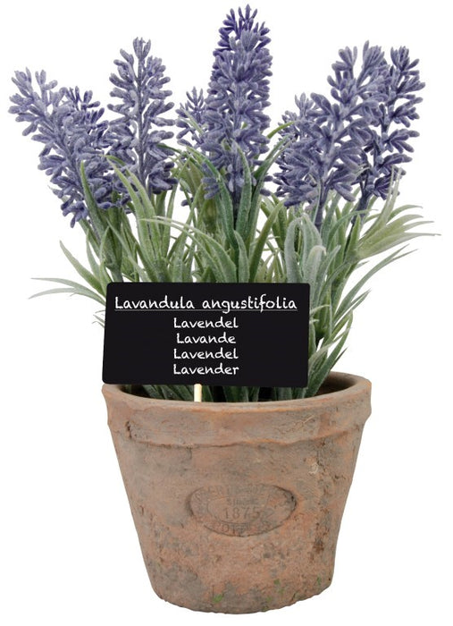 AH010 - ARTIFICIAL LAVENDER IN AGED TERRA