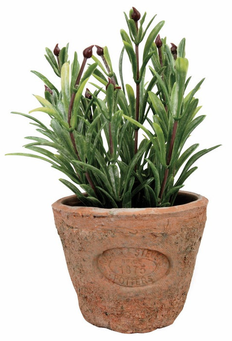 AH011 - ARTIFICIAL ROSEMARY IN AGED TERRA