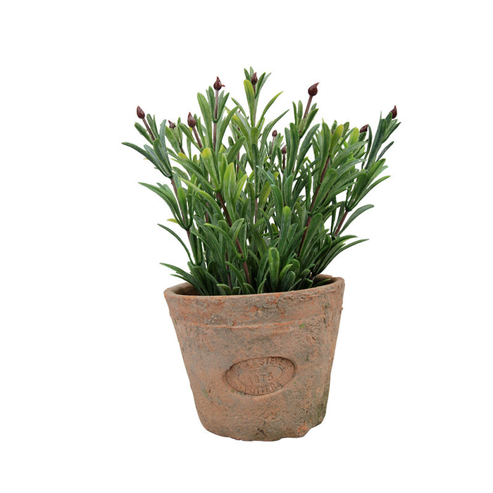 AH012 - ARTIFICIAL ROSEMARY IN AGED TERRA