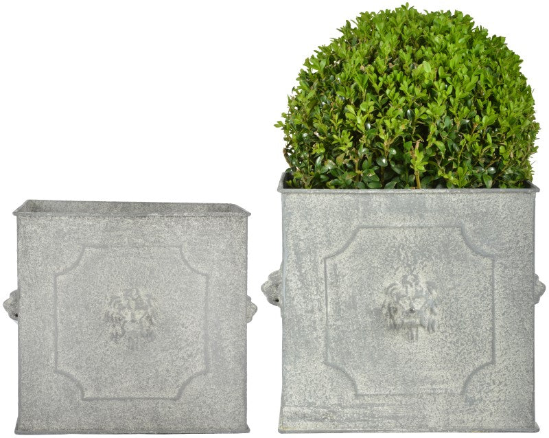 AM106 - SQUARE LION PLANTER (SET OF 2)