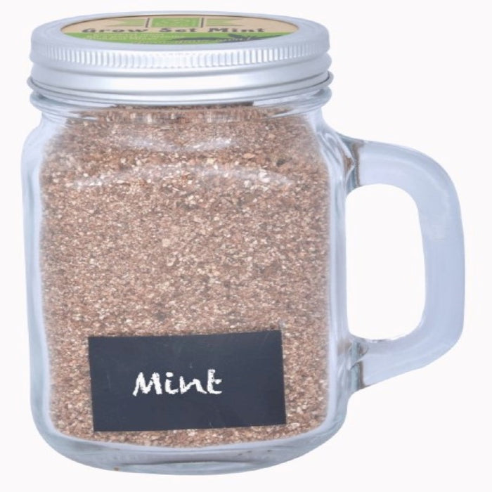 B3950 - MINT GROW SET IN GARDEN MUG