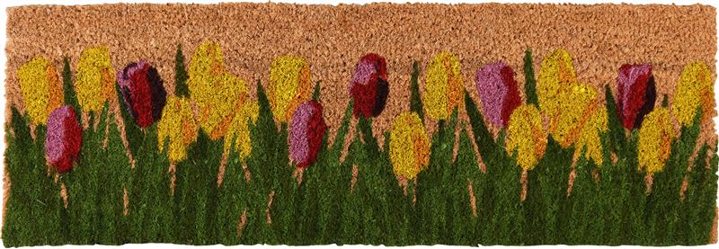 RB223 - PRINTED DOORMAT (MUSHROOMS)