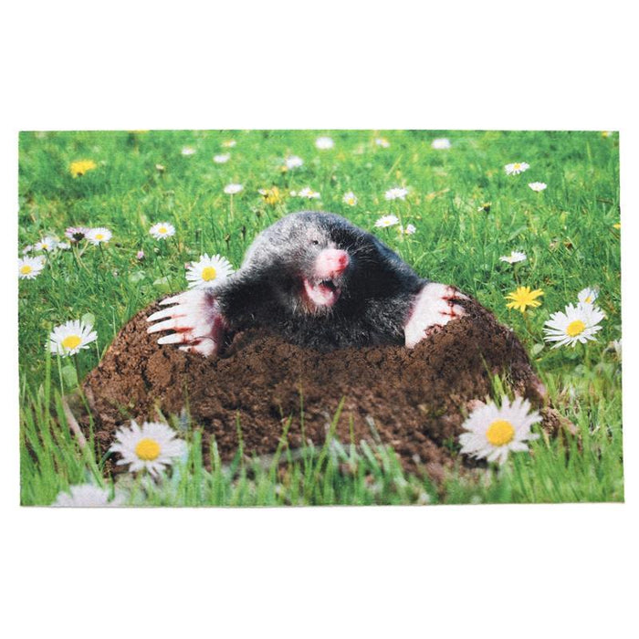 RB227 - DOORMAT GARDEN GNOME