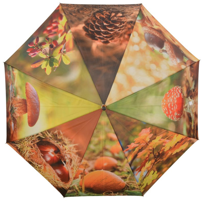 TP210 - UMBRELLA FLOWERS