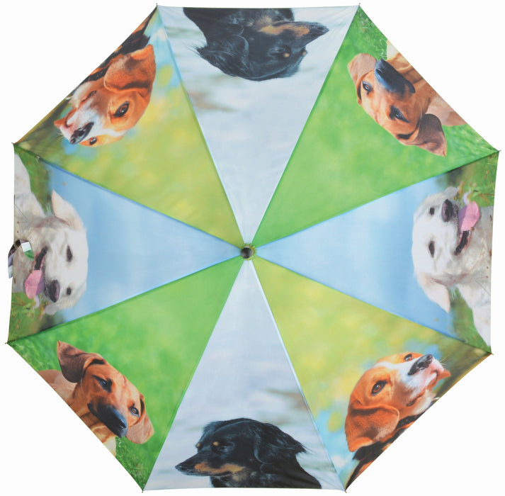 TP262 - WATERMELON PARASOL