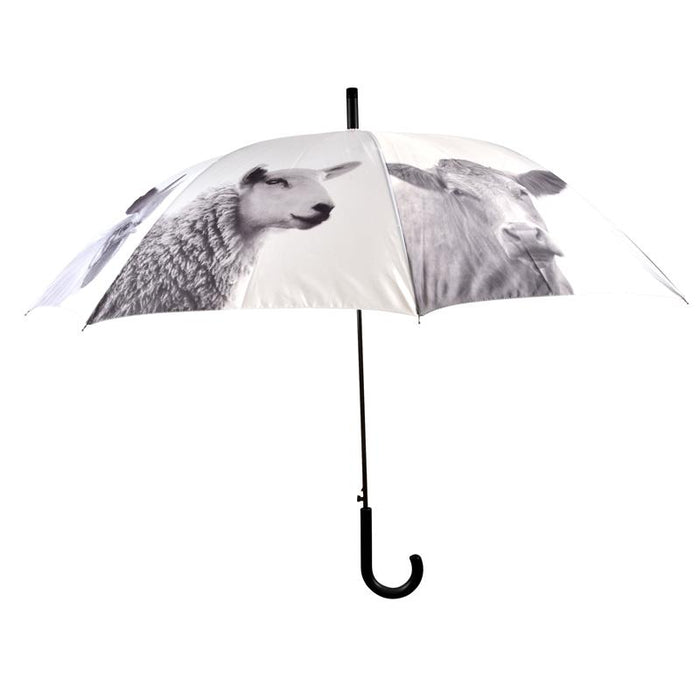 TP332- UMBRELLA REFLECTOR HELLO