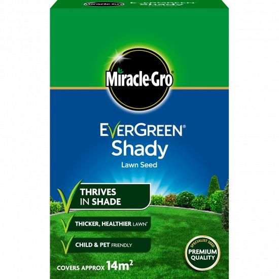 Shady Lawn Seed