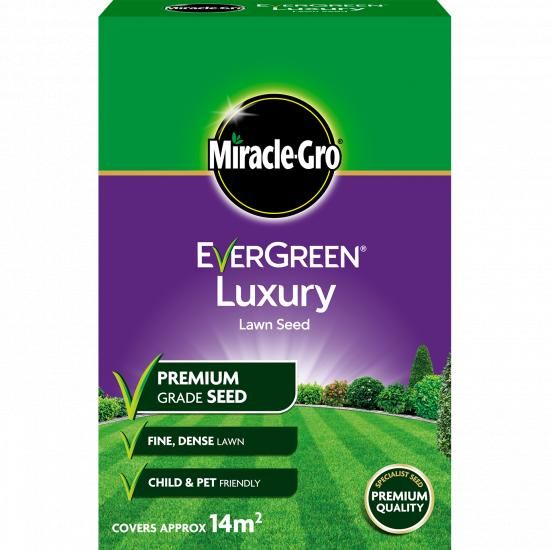 Luxury Lawn Seed